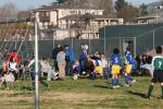 C-Elephants  0029_resize